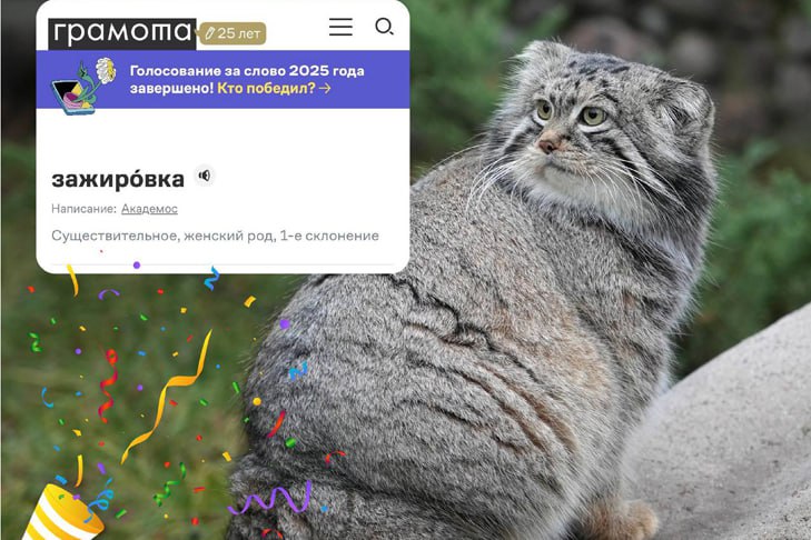 Кот из Новосибирска ввел новое слово в современный русский язык Манул Тимофей родился в Новосибирском зоопарке но проживает в Москве Именно благодаря этому представителю семейства кошачьих в современном русском литературном языке появилось новое слово Оно добавлено в словарь на портале Грамота ру Эксперты портала зафиксировали значение и происхождение нового термина Зажировка описывает важный биологический процесс создание у животных жирового запаса необходимого для выживания в холодное время года во время спячки или при длительном дефиците пищи Изначально слово использовалось зоологами и киперами Московского зоопарка в рабочих беседах и рассказах для посетителей о Тимофее Из постов и пресс релизов зоопарка слово постепенно перекочевало в лексику журналистов и блогеров а оттуда в активный словарь горожан интересующихся жизнью питомцев зоопарка поделились сотрудники Московского зоопарка Новый термин это наглядный пример того что язык реагирует на события вокруг и постоянно обогащается