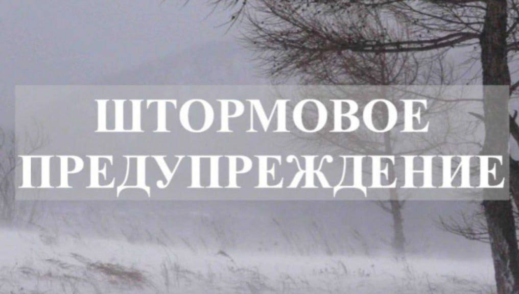 По данным спасателей, сегодня утром и в первой половине дня местами по республике ожидается сильный туман с ухудшением видимости до 50 метров.    Подписаться   Прислать новость