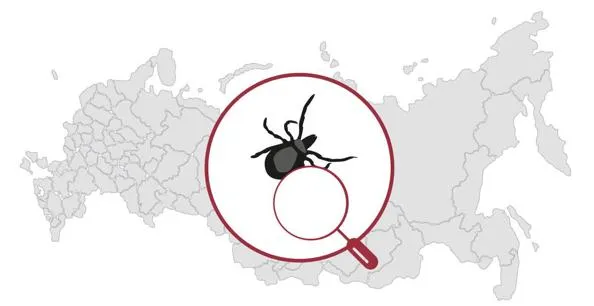 Югра попала в список регионов с высоким риском заражения клещевым энцефалитом Перечень составил Роспотребнадзор В него вошли восемь округов В УрФО исключением стал только Ямал Все остальные уральские регионы признаны эндемичными nv86 me vk com nv86ru ok ru nv86 ru max ru nv86ru