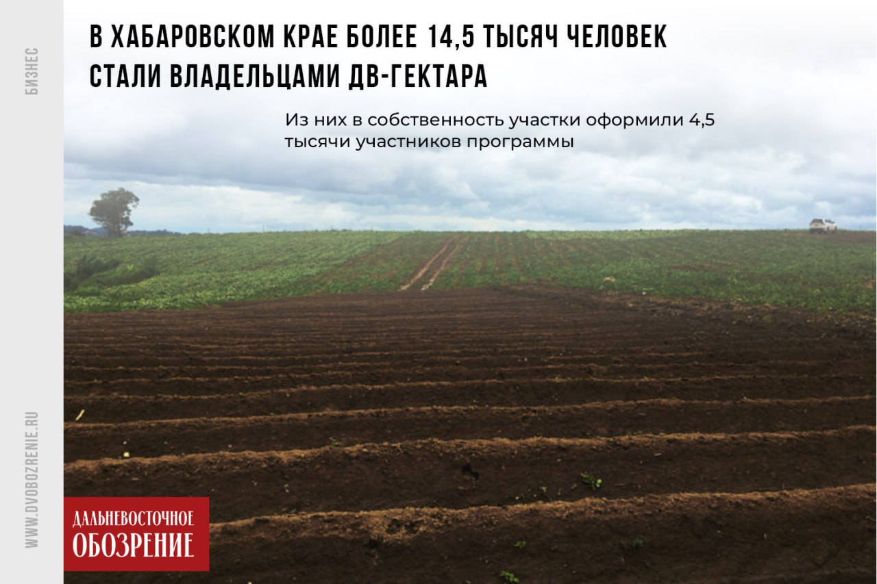 В Хабаровском крае более 14,5 тысяч человек стали владельцами ДВ-гектара Владельцами Дальневосточного гектара в Хабаровском крае стали более 14,5 тысяч человек. Из них оформили участки в собственность — 4,5 тысячи. За это гектарщики получили дополнительные земельные наделы. Такая возможность появилась три года назад — желающие могут расширить первые свои участки при их успешном освоении, сообщает “Дальневосточное обозрение”. Подробности в нашем материале ДВ-Обозрение Другие новости