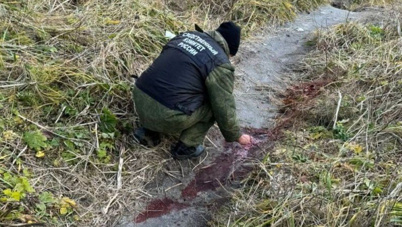 В Курильский районный суд для рассмотрения по существу поступило уголовное дело в отношении местного жителя, которого обвиняют в оказании услуг, не отвечающих требованиям безопасности. Следователи Корсаковского межрайонного следственного отдела областного управления СУ СКР полагают, что именно благодаря беспечности проводника, организовавшего платную экскурсию на Белые скалы, получил тяжёлые травмы турист из Красноярска.  Напомним, что ЧП на Белых скалах близ села Рейдово произошло 12 ноября 2024 года. При этом место происшествия является едва ли не самой посещаемой природной достопримечательностью на Итурупе, и считается относительно безопасной.  «Красный маяк» на основе своих источников пошагово восстановил картину того трагического дня.  Подробности на сайте «КМ».