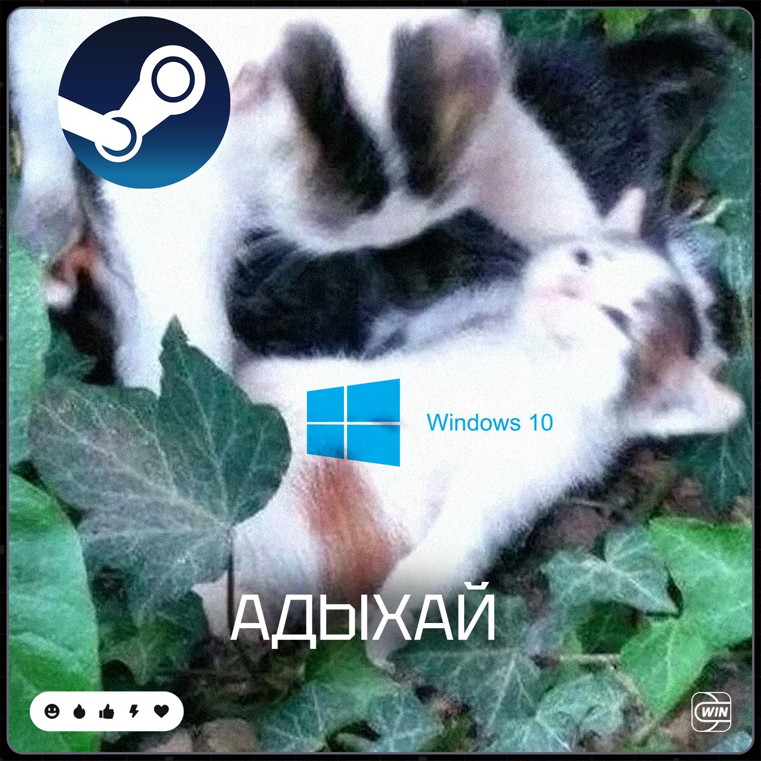 Steam прекращает поддержку Windows 10 но пока только для 32 битных версий С начала 2026 года пользователи этих систем перестанут получать обновления включая обновления безопасности Также служба поддержки больше не будет обрабатывать запросы связанные с этими ОС   press f