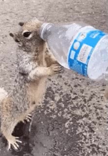 В Москве организована бесплатная раздача питьевой воды в поликлиниках и центрах госуслуг
