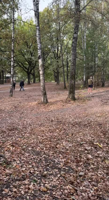 Стрельба в водноспортивном клубе 'Дубрава' в Мытищах: задержан подозреваемый