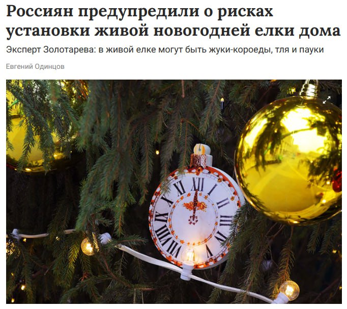 Живая ёлка может быть опасна для здоровья В коре и ветках часто прячутся насекомые а на поверхности споры плесени которые в тепле вызывают аллергию Хвойный запах тоже может спровоцировать проблемы с дыханием у чувствительных людей Эксперты советуют покупать ёлки в официальных точках промывать перед установкой держать в проветриваемом помещении и убирать через 10 12 дней Прямой эфир