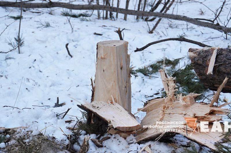 Мэрия Екатеринбурга наделит березовую рощу в Академическом охранным статусом  Статус особо охраняемой природной территории будет распространен на 22 га рощи, пишут «Вечерние ведомости». Точные сроки проведения процедуры городские власти не уточнили, отметив, что этот процесс небыстрый.  Напомним, что противники застройки березовой рощи добивались в суде присвоения этого статуса. В судебном процессе им оппонировала директор ботанического сада УрО РАН Алена Третьякова. Она указывала на то, что сама роща — это лишь произвольно выросшие на торфянике деревья. То есть участок не обладает признаками природного или археологического памятника.   Теперь обоснования для присвоения ООПТ придется искать мэрии.