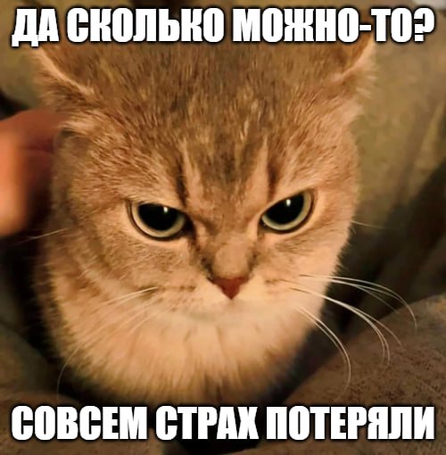 Мошенники атакуют детей В Telegram у молодежи стали популярны боты для знакомств, однако через них мошенники собирают данные о школьниках и студентах, сообщила Екатерина Мизулина. Информация о пользователях собирается злоумышленниками целенаправленно, поэтому необходимо быть осторожнее с любыми незнакомцами в Сети, предупредила она. Подпишитесь на «Абзац» Добавьте «Абзац» в ленту «Дзена»