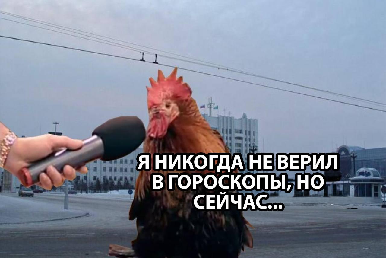 Петухам Крысам и Змеям обещают финансовую удачу Астрологи уверяют что Змеи из китайского гороскопа обострят чутьё на заработок Петухи найдут новые источники дохода а Крысы начнут притягивать деньги без особых усилий