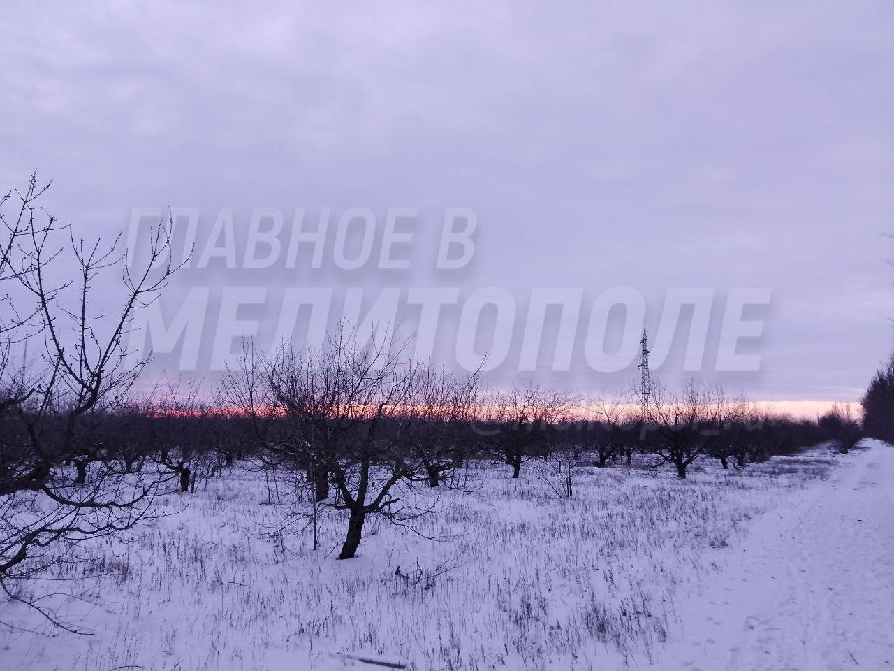 Бескрайние просторы Запорожской области вновь продемонстрировали свою живописность Подписчица поделилась фотографией заката где уходящее за горизонт солнце окрашивает небо в насыщенные оттенки от золотисто оранжевого у края земли до нежно сиреневого На переднем плане виднеются одинокие деревья и дорога уходящая вдаль У вас тоже есть возможность прислать нам фотографии которые мы опубликуем Вы можете отправить их на нашу обратную связь