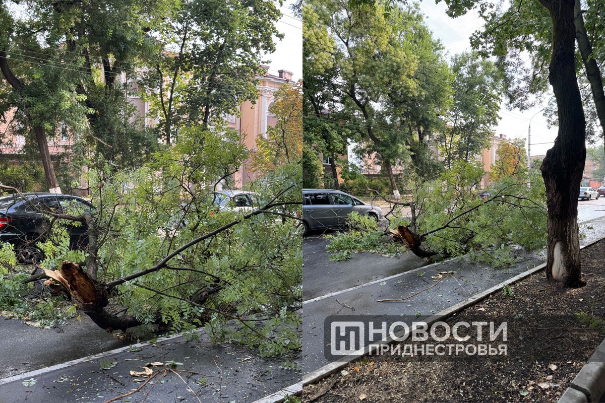 У 11-й школы в Тирасполе утренний шквалистый ветер обломал большую ветку. Такая картина сегодня по всему городу — повалено 12 деревьев, оборваны линии электропередачи, повреждены 5 автомобилей. Ночью и утром на юге республики прошли сильные ливни с грозами и порывистым ветром. К счастью, пострадавших нет. Непогода затронула и близлежащие сёла. В Чобручах дерево упало на проезжую часть при въезде в населённый пункт. Повалены деревья и на дороге в Кицканы.