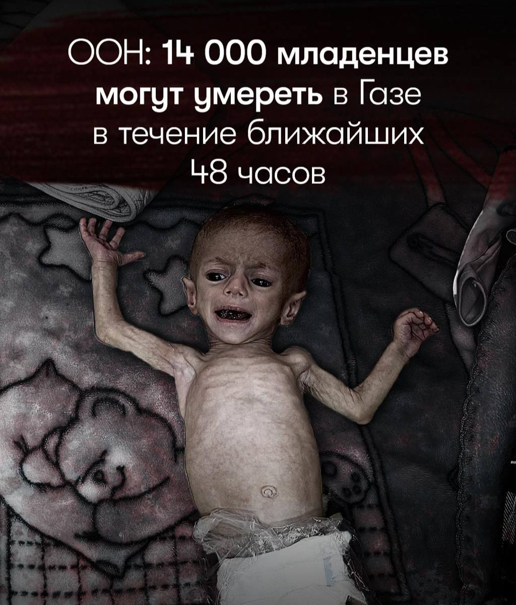 Пять грузовиков против голода двух миллионов 14 000 младенцев могут погибнуть в Газе в течение 48 часов, если срочная помощь не поступит вовремя, предупредила ООН. Nasledie News
