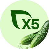 Аватар Телеграм канала: Новости X5 Group