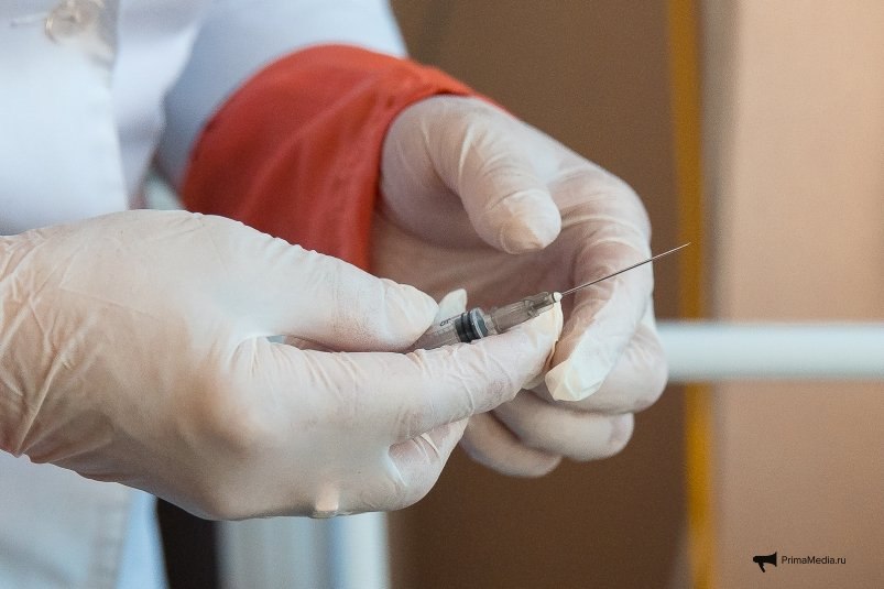 Комариный укус в РФ отмечен завозной случай экзотической лихорадки Риска распространения инфекции на территории страны нет Читать подробнее на сайте