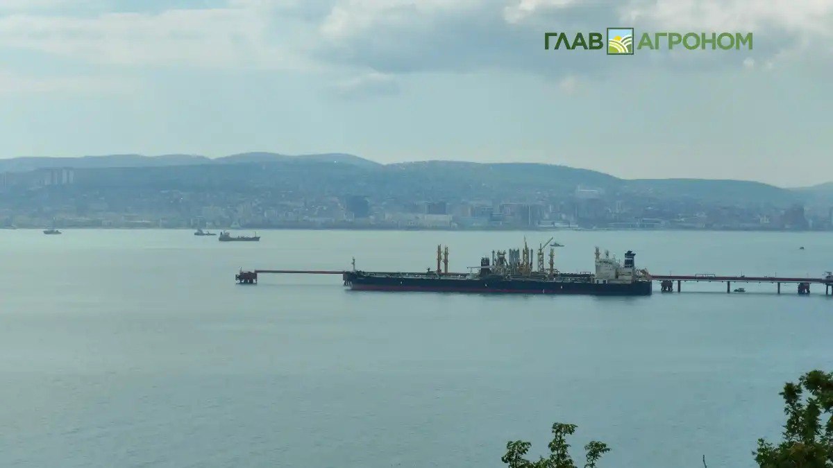 Бразилия импортировала рекордное количество удобрений в 2025 году В 2025 году импорт удобрений в Бразилию достиг нового рекорда было закуплено 44 96 млн т что на 2 9 больше чем в 2024 году С чем это связано рассказываем в материале