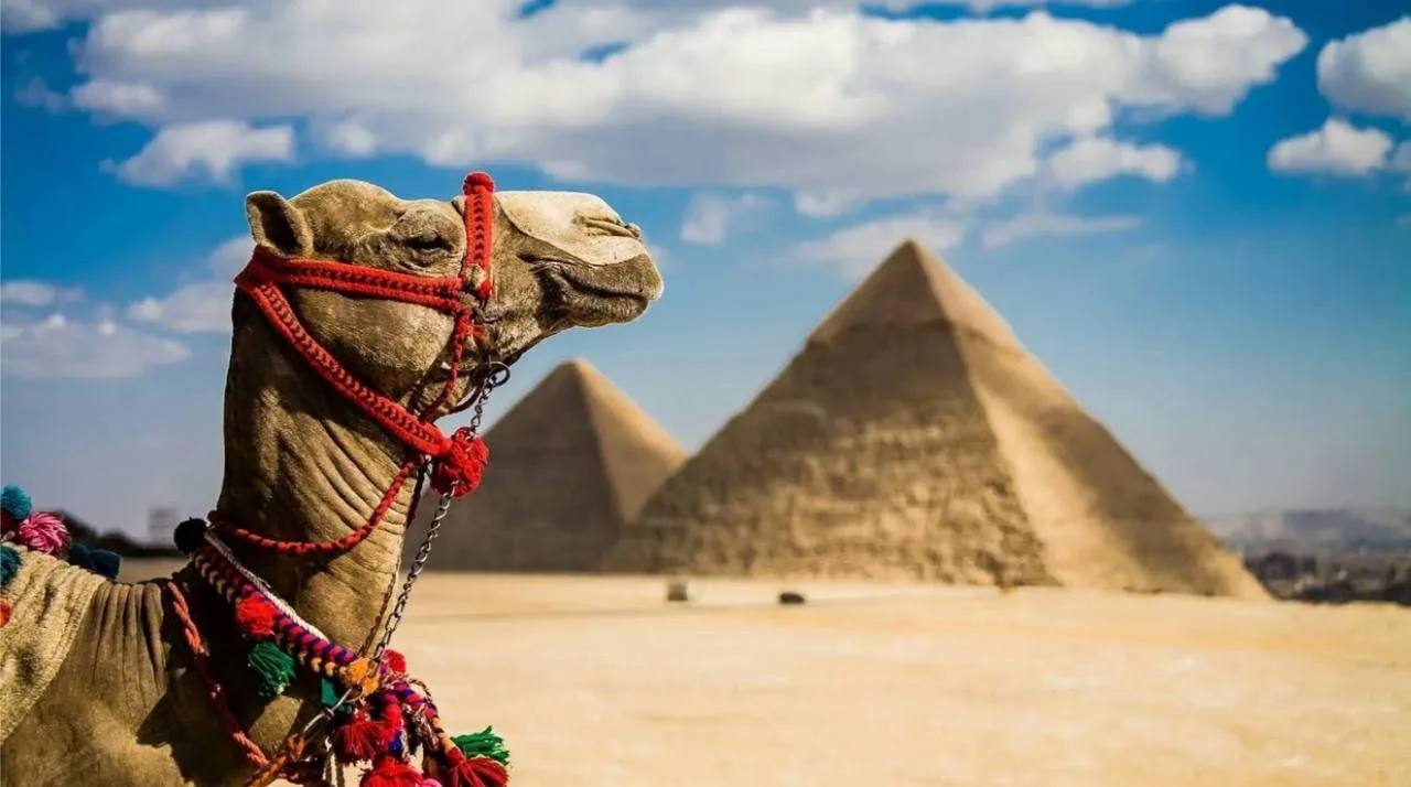 С нового года россиянам попасть в Египет будет почти в два раза дороже Президент Египта Абдель Фаттах ас Сиси подписал указ об увеличении стоимости въездной визы с 25 до 45 На визах будет печататься фото владельца Кубанские Новости   Мы в MAX