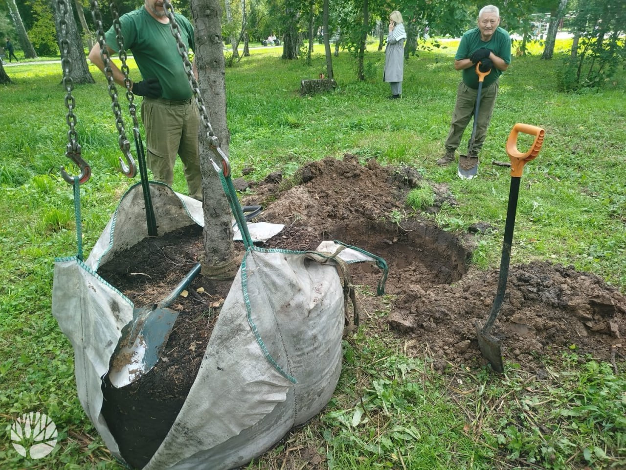 Более 2000 деревьев и кустарников украсят парк Березовая роща В парке культуры и отдыха идет высадка зеленых насаждений Среди посадок 57 крупномерных деревьев амурские ели груши и сирень На спортивной аллее высаживают сибирские ели высотой от 2 5 до 4 5 метра Особое внимание уделено редким елям на штамбе их дополнят живописными партерами из пейзажной мирикарии создав изящные декоративные композиции сообщает дирекция городских парков Работы должны завершить до 14 октября Подписаться на канал VN ru Прислать свою новость в редакцию