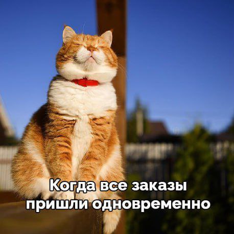 Благодаря соглашению с Wildberries&Russ, ульяновские товары будут быстрее доставлять покупателям Компания планирует построить в Ульяновской области современный логистический центр.