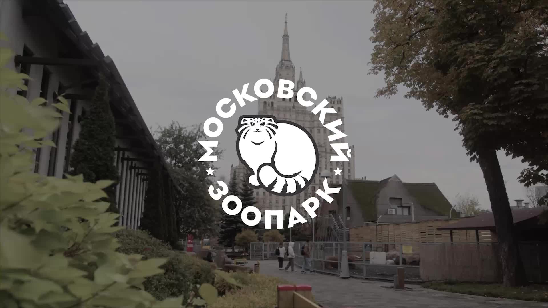 Московский зоопарк запускает зимнюю акцию с бесплатными летними билетами