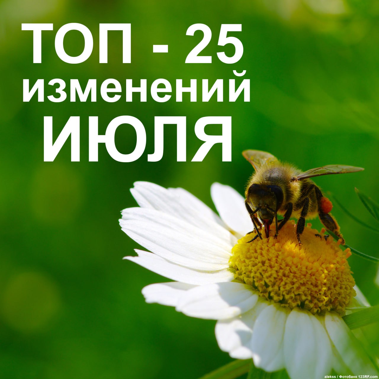 Что изменится в России с 1 июля 2025 года? Вырастут тарифы ЖКХ и лимит европротокола, появятся социальные счета для льготников и уголовные наказания для дропперов. Кроме того, вводят новые штрафы для бизнеса, ужесточают ответственность за распространение коммерческой и налоговой тайны, а также усиливают контроль за операциями с цифровым рублем. Подробности
