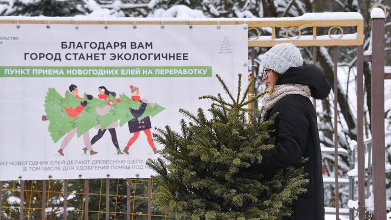 Экологичная утилизация новогодних елок: что сделать с деревом после праздников   После новогодних торжеств не спешите выбрасывать елку на свалку – это вредит экологии, особенно если дерево искусственное, сообщают эксперты. На полигонах ели разлагаются медленно, выделяя вредные газы. Кроме того, крупногабаритные деревья нельзя выбрасывать в обычные мусорные баки. Правильная утилизация позволяет сократить углеродный след на 80%, превратив отходы в пользу.    В городах работают пункты приема елок, где их перерабатывают в щепу для удобрения почвы и подстилок животным. Зоопарки, приюты и фермы принимают деревья для корма, обустройства вольеров и развлечения животных. Для дачи ель можно использовать в качестве дров, веников, укрытия для почвы или для компостирования. Также доступны платные услуги по вывозу и утилизации новогодних деревьев.  Фото: РИА Новости