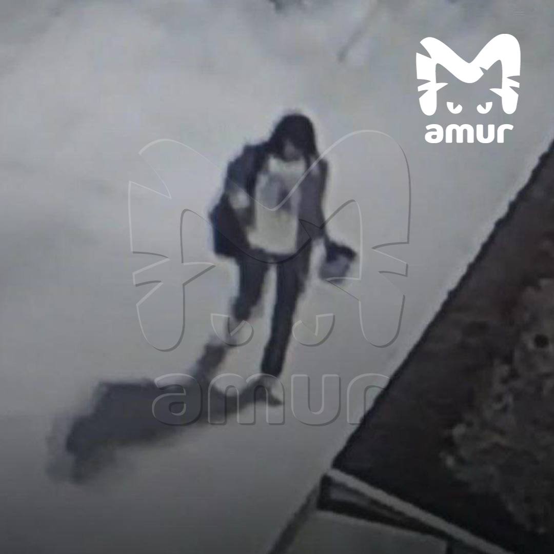 Осквернившую мемориал героев ВОВ задержали во Владивостоке. Рано утром 37-летняя вандалка пришла с краской к стеле павших в бою артемовцев в посёлке Заводской — измазала краской, попала на камеру. Как рассказали Amur Mash в городском УМВД, дамочка уехала в столицу Приморья — там она и живёт. Её поймали, везут в Артём.