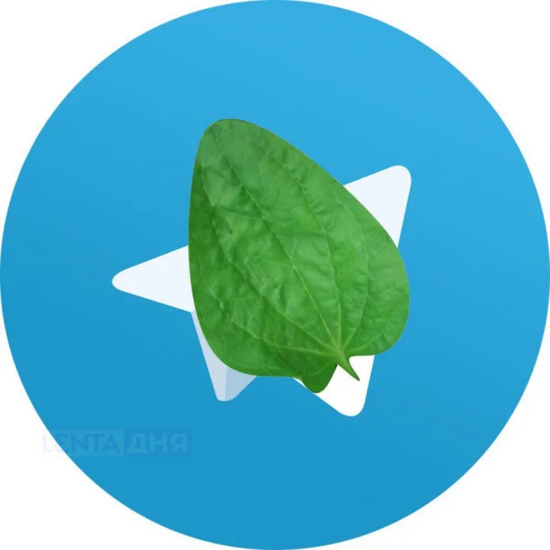 В работе Telegram произошёл сбой Россияне массово жалуются на то что не могут отправить сообщения у них не открываются чаты и не загружается медиа Как у вас всё хорошо работает всё сломалось Подпишись на Ленту дня MAX ТГ Участвуй в розыгрыше