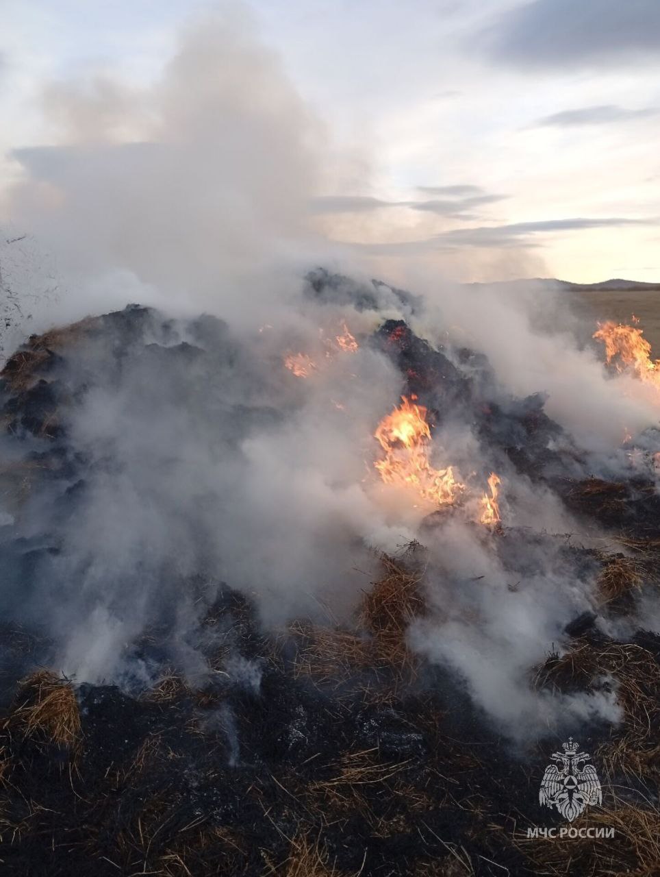 Добаловались дети сожгли 6 тонн сена в Краснокаменске Сотрудники Государственного пожарного надзора завершили проверку по факту пожара в Краснокаменске в результате которого сгорели запасы сена К возгоранию привели действия трех несовершеннолетних 2011 и 2012 г р Установлено что дети играли на сене и в какой то момент им пришла в голову идея поджечь его чтобы посмотреть как оно горит От детской шалости с огнем сухая трава мгновенно вспыхнула и пожар вышел из под контроля Испугавшись школьники убежали Зарево увидели владельцы сена которые и вызвали пожарную охрану Огонь на 40 квадратных метрах ликвидировали огнеборцы пожарно спасательной части 11 МЧС России и ведомственной пожарной охраны В настоящее время все материалы по данному факту направлены в подразделение по делам несовершеннолетних для дальнейшего разбирательства с подростками и их родителями МЧС России в очередной раз призывает родителей и взрослых быть внимательнее к детям Не оставляйте их без присмотра и постоянно разъясняйте что игры с огнем недопустимы и могут привести к трагическим последствиям Подписывайся на МЧС России в Telegram MAX