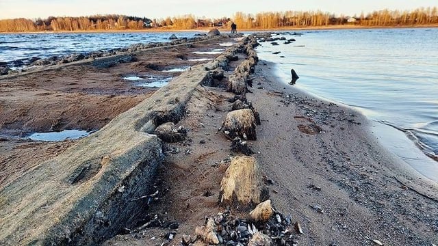 Причуда природы. Волга в Ярославской области обмелела так, что обнажилось дно  Уровень воды в реке упал настолько, что местные жители гуляют по дну, удаляясь на несколько десятков метров от берега.  На дне Волги обнаружилось много интересного. Например, купеческий водозабор. Это уникальное историческое сооружение, сделанное из бревен и камней, соединенных мощными креплениями — часть старинной системы водоснабжения, которая функционировала в XIX веке.  Или затонувшая много лет назад баржа, которую течением прибило к мостовой опоре.  «Выступающая часть баржи была срезана и убрана. Осталось только днище с частично сохранившейся внутри деревянной обшивкой. В связи с низким уровнем воды днище баржи полностью вышло из-под воды»,  — описал находку местный житель.  Обмеление произошло в период весеннего половодья, когда река, наоборот, должна выходить из берегов.  Вероятнее всего, «чудо природы» случилось из-за бесснежной зимы. Местные рыбаки переживают, что рыба не сможет отнереститься в привычных местах.   Обмеление водоемов преподносит много сюрпризов тем, кто их хочет увидеть. Так, осенью ярославец нашел на дне обмелевшего Рыбинского водохранилища коллекцию старинных монет и предметов.  Фото: Александр Давидик