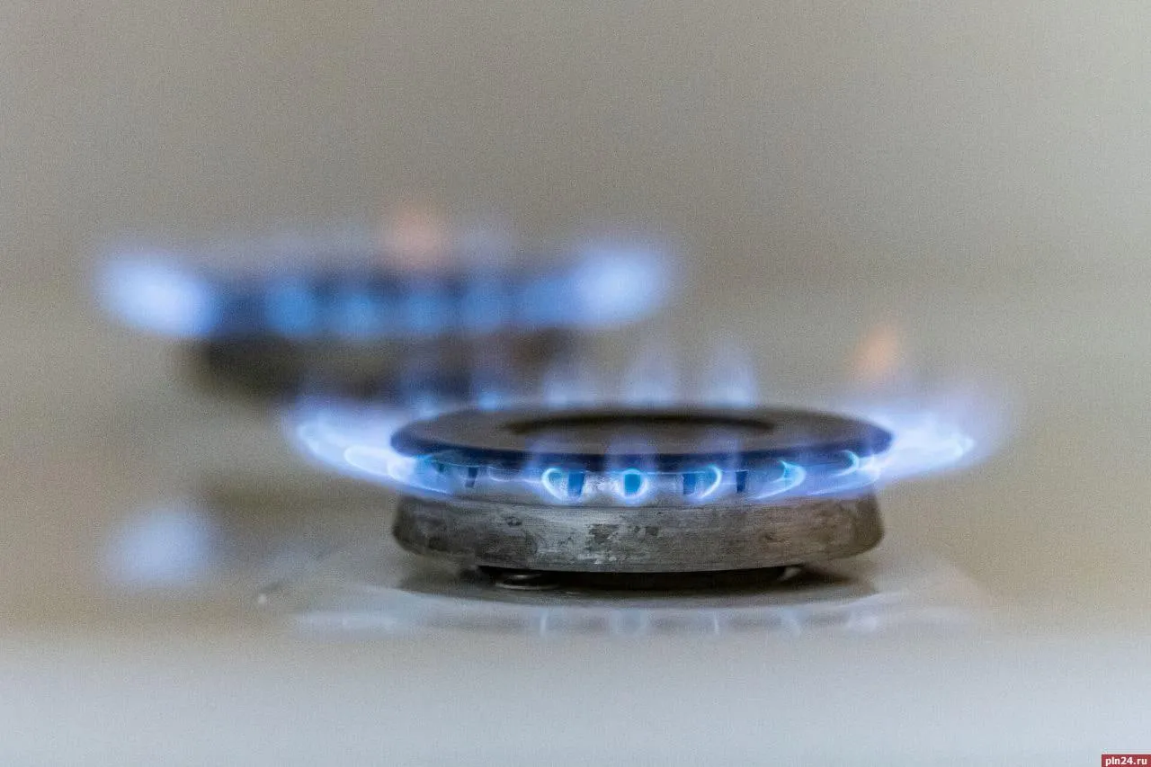 Россиян предупредили о лжегазовиках которые ходят по квартирам Мошенники начали обходить квартиры в форме сотрудников газовой службы сообщили в пресс службе проекта Народного фронта Мошеловка Аферисты показывают поддельные удостоверения сообщают о якобы утечке газа после проверки и настаивают на замене датчиков кранов и других деталей Оплату требуют наличными или переводом на карту Специалисты рекомендуют в таких случаях сразу звонить в диспетчерскую управляющей компании чтобы подтвердить визит газовиков Если об обходе ничего не известно следует вызвать полицию ПЛН в MAX
