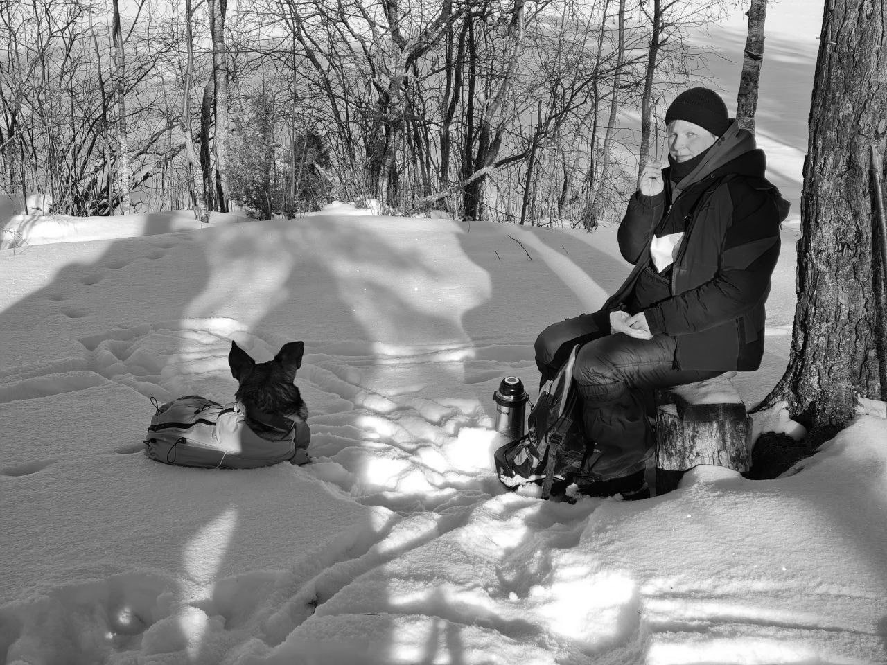 Коварный ладожский лед стоил жизни туристу и его верному псу Трагедия в Карелии выбравшийся на природу 44 летний Артур Климаков художник из Москвы провалился под лед Ладожского озера Сопровождавший его пес Эрвин пытался помочь хозяину а потом не подпускал спасателей к полынье Как сообщают СМИ родственники погибшего решили усыпить несчастное животное Как выяснилось мы сейчас во владениях известного недоброго духа Хийси Хийтола его земли Хийси известен не самым добрым нравом но мы навряд ли доставляем ему проблемы уважаем экологию и не забываем поделиться с лесными духами глинтвейном написал Артур на своей странице незадолго до случившейся с ним беды Мы ничего не знаем ни про повадки злых духов ни про само их существование Нам известно другое внешне надежный лед на деле может оказаться не таким прочным как кажется Прогулка в незнакомом месте в одиночестве может стоить вам жизни Не забывайте об этом Фото Артур Климаков и Эрвин