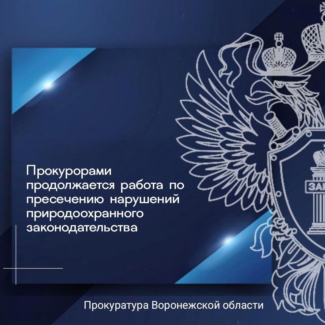 Благодаря принятым мерам прокурорского реагирования ликвидировано более 60 свалок, на общей площади превышающей 5 га в Калачеевском, Острогожском, Семилукском, Хохольском и других районах области. В целях возмещения ущерба, причиненного Российской Федерации незаконной рубкой деревьев, добычей объектов животного мира и водных биологических ресурсов, прокурорами предъявлены соответствующие исковые заявления в суд. В результате вмешательства прокуратуры области в 2025 году ТУ Росимущества по Воронежской области реализованы полномочия по истребованию из чужого незаконного владения земельных участков в границах рек Воронеж, Усмань, Хава, Карачан, Тавровка, в суды направлено более 60 соответствующих исков. Подробнее - на сайте прокуратуры области