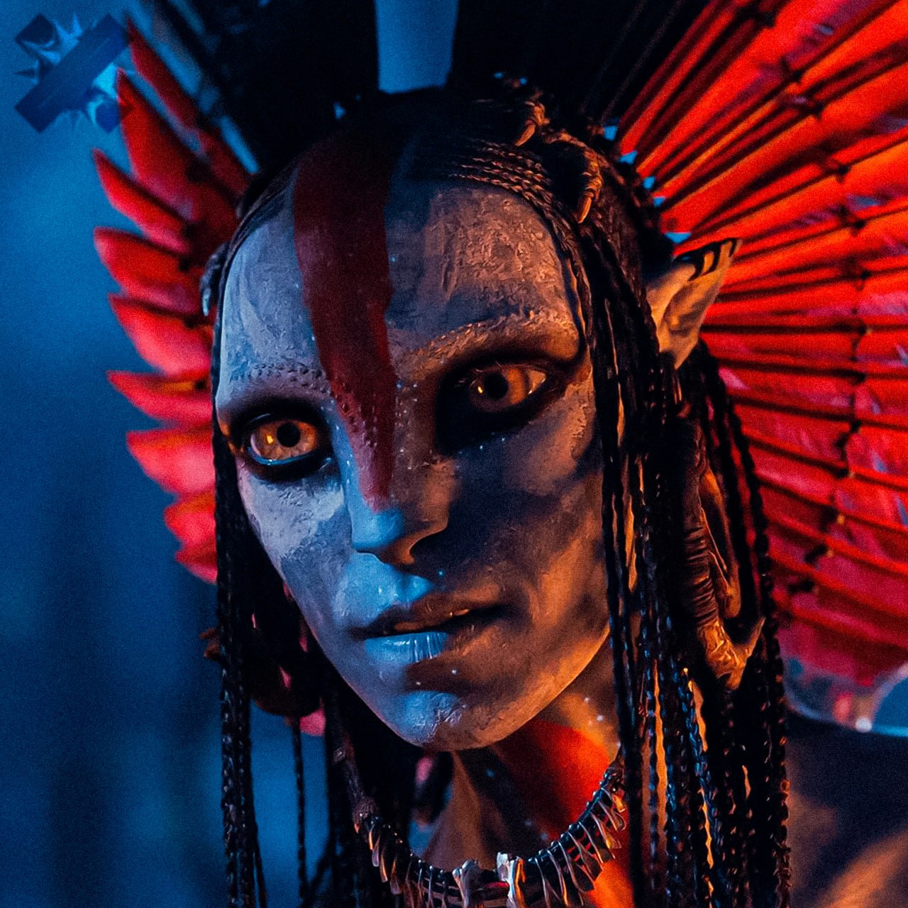 Все зарубежные кинопремьеры в России перенесли на середину января Ассоциация владельцев кинотеатров решила отказаться от зарубежных фильмов в праздничные дни Синема Парк Формула Кино Мираж и Мягкий кинотеатр будут крутить только отечественные картины вроде Буратино и Простоквашино Зарубежные новинки вроде Аватара вернутся в прокат только 15 января жаль круто бы провели праздники им же хуже собственно НМШ