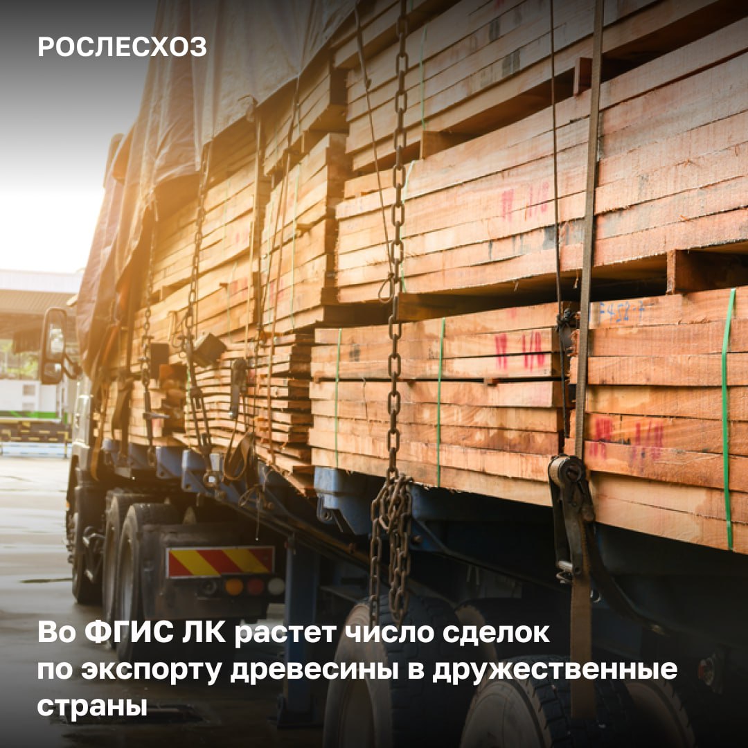По данным ФГИС Лесного комплекса в дружественные страны с начала года вывезено свыше 11,9 млн м3 российской древесины. За аналогичный период прошлого года из России экспорт продукции лесопереработки составил более 10,4 млн м3.   ⌛  Спрос на отечественные лесоматериалы вырос на 14,4%.    За полгода в системе зарегистрировано свыше 189 тыс. экспортных электронных сопроводительных документов, за аналогичный период 2024 года - 187 тыс.   «Мы в режиме реального времени получаем данные о сделках с древесиной, включая экспортные. Это стало возможным в том числе благодаря налаженному взаимодействию с Федеральной таможенной службой - все происходит в автоматизированном режиме, проверка документов занимает несколько минут. Через ФГИС ЛК мы можем посмотреть любую партию древесины, которая поставляется за рубеж и узнать историю ее движения», - сказал замглавы Рослесхоза Вячеслав Спиренков.   Покупатели обработанной древесины из России:  - Китай, Турция, Индия, Саудовская Аравия, ОАЭ, Узбекистан, Казахстан, Киргизия; - всего обработанные лесоматериалы Россия экспортирует в 37 стран.