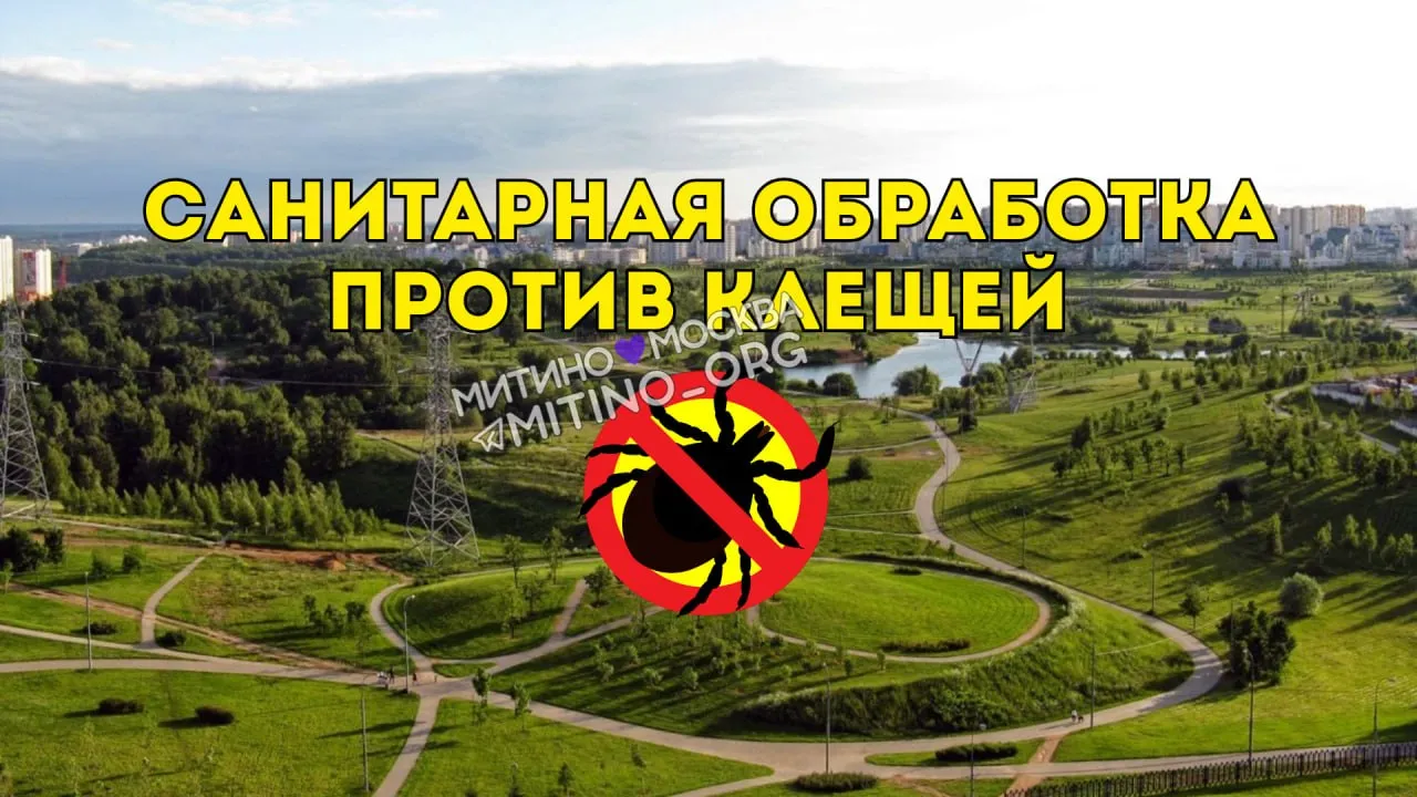 5 6 и 7 мая в Ландшафтном парке Митино пройдет акарицидная обработка территории Санитарная обработка против клещей будет проходить 3 дня с 10 00 до 16 00  Будьте внимательны и осторожны воздержитесь от отдыха на траве ℹ Администрация парка Митино в Макс Телеграм