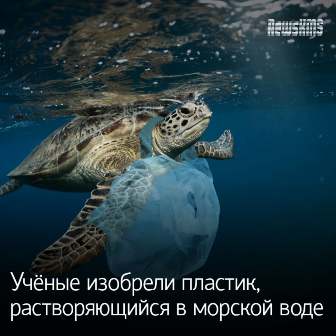 Японские исследователи из Токийского университета заявляют, что их новый материал быстро разлагается и не оставляет никаких следов. При этом по прочности он ничем не уступает обычному пластику.  Самое главное, что под воздействием соли этот пластик распадается на исходные компоненты, которые могут быть переработаны естественными бактериями. Это позволит избежать образования микропластика, который может скапливаться в мозге человека.