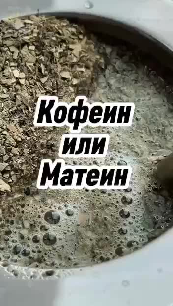 Россияне предпочитают йерба мате кофе и энергетикам