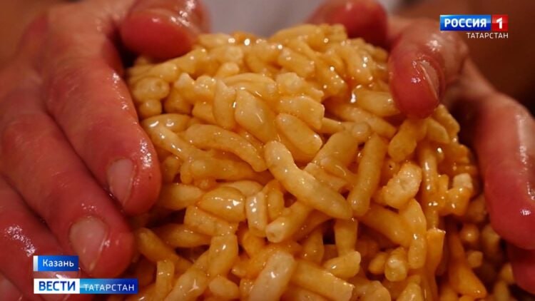 Татарстан увеличил экспорт халяльной продукции до 45 миллионов в 2025 году В Татарстане экспорт халяльной продукции достиг 45 миллионов в 2025 году что в три раза превышает показатели 2024 года Об этом сообщил замминистра сельского хозяйства и продовольствия республики Рустем Гайнуллов По его словам основную часть экспорта составила кондитерская продукция которая занимает около 80 от общего объема В 2024 году экспорт халяльной продукции из Татарстана составил 14 миллионов а в 2023 году порядка 11 миллионов Гайнуллов также отметил что по итогам 2024 года около 150 компаний в республике получили сертификацию по стандартам халяль Татарстанские компании активно работали на рынках Саудовской Аравии Малайзии и ОАЭ а также нашли новых партнеров в странах СНГ Подписаться Сообщить новость Вести Татарстан в MAX