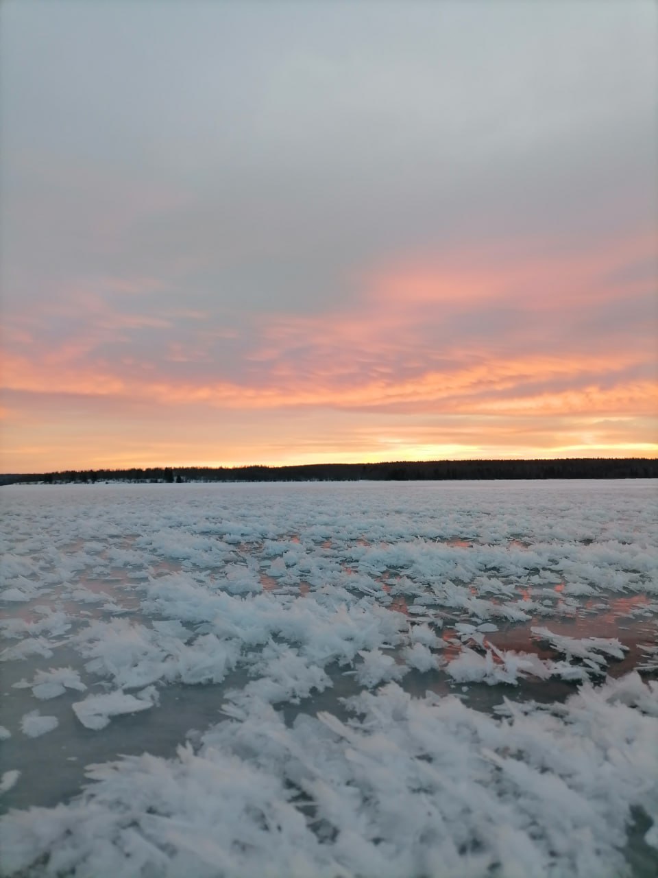 Ледяные цветы заметили на водоеме в Пермском крае Редкое природное явление возникает лишь при определенных условиях небольшая толщина льда температура воздуха не ниже минус 20 градусов тихая и безветренная погода Подписаться на РИА Новости