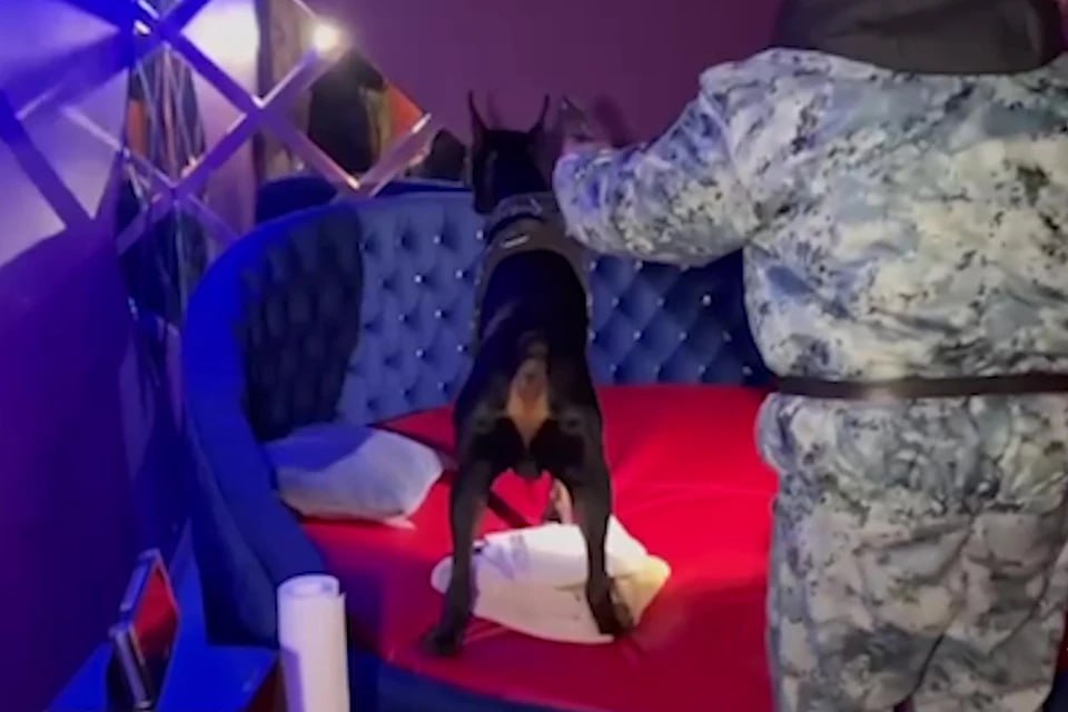 В Челябинске полицейские и сотрудники ОМОН Росгвардии нагрянули в подвал на улице Труда Как рассказали в областном полицейском главке на сомнительное заведение пожаловались горожане Официально оно позиционирует себя как спа салон для мужчин Судя по опубликованным полицией кадрам спа то есть связанной с водой физиотерапией в салоне не слишком увлекались Зато в полутемных помещениях обнаружились кровати диваны и бар с напитками Все это тщательно осмотрели документы заведения проверили а трех сотрудниц отвезли в отдел полиции Там девушкам пришлось сдать отпечатки пальцев и пройти проверку по базам данных МВД   Подписаться на chelkp