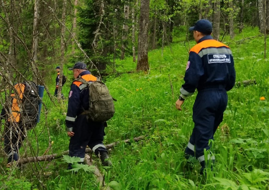 Под Ермаковским мужчина потерял друга в лесу Двое приятелей пошли в лес в районе села Вознесенска Ермаковского района, один из них потерялся, сообщили в КГКУ «Спасатель. Мужчина три часа самостоятельно безуспешно искал друга. После этого вызвал помощь. На поиски выехала оперативная группа Шушенской спасательной станции. Специалисты проверили 15 километров лесного массива и через два часа с помощью светозвуковых сигналов нашли основательно покусанного насекомыми заблудившегося человека. Его напоили и отвезли домой. Newslab