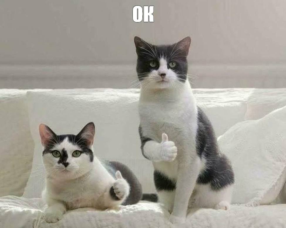 Ок самое популярные слово в русском языке Популярность междометия связана с его информативностью и однозначностью Также в русском языке идёт тенденция к краткости Институт Русистики