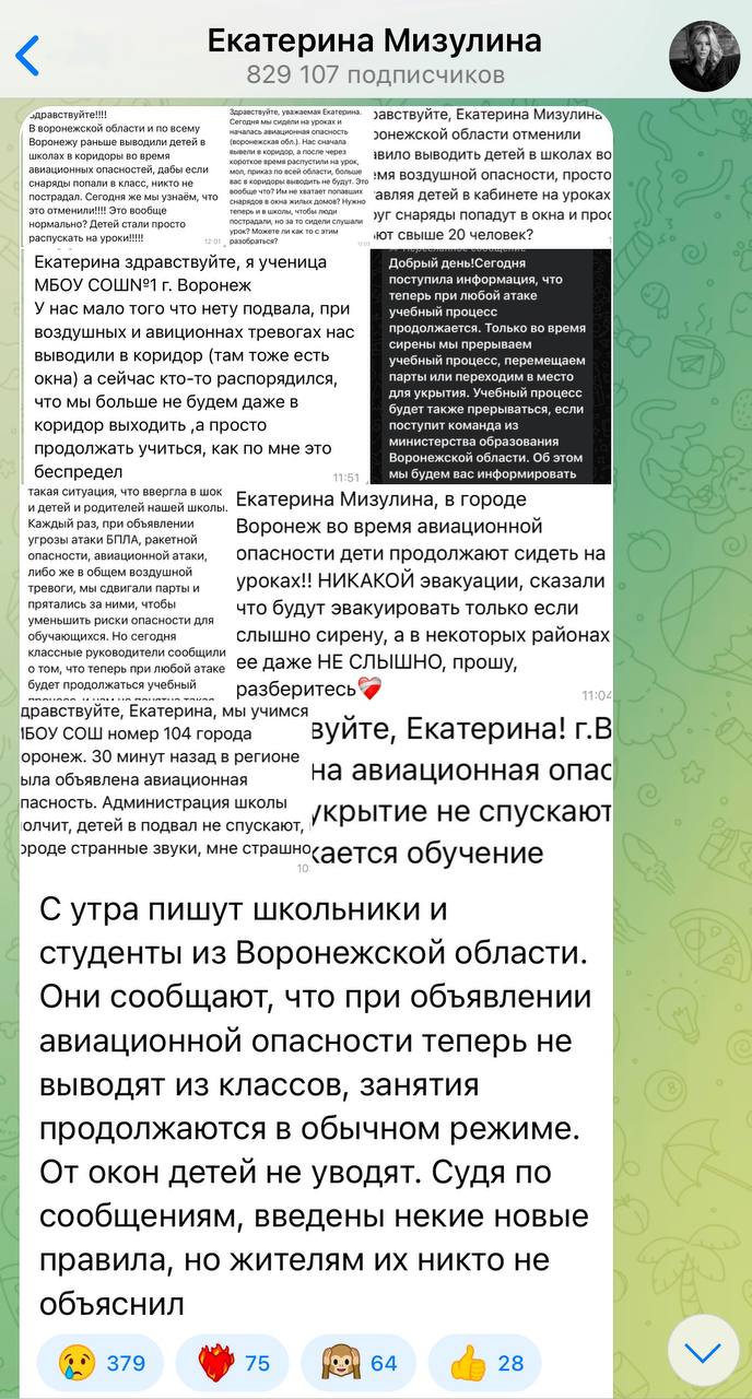 Воронежские школьники пожаловались Мизулиной на уроки во время воздушной тревоги  Детей не вывели в безопасное место, педагоги ссылаются на некое новое правило. Согласно ему уроки теперь продолжаются, а отправлять детей в укрытие нужно только при сигнале «Внимание всем!».   При этом новые правила никто заранее не объяснил.