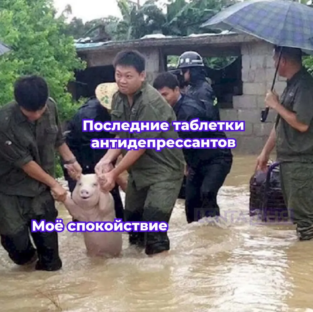 Россияне скупают антидепрессанты Продажи антидепрессантов в стране за три года выросли почти в два раза В 2025 году россияне купили таких препаратов на 19 5 миллиарда рублей против 11 1 миллиарда рублей в 2023 м С 2020 по 2024 год заболеваемость граждан психическими расстройствами выросла на 18 грустная статистика Подпишись на Ленту дня в МАКС