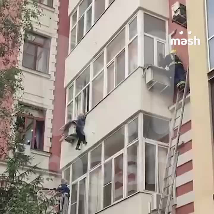 Спасатель успешно поймал женщину, выпавшую из окна в Москве