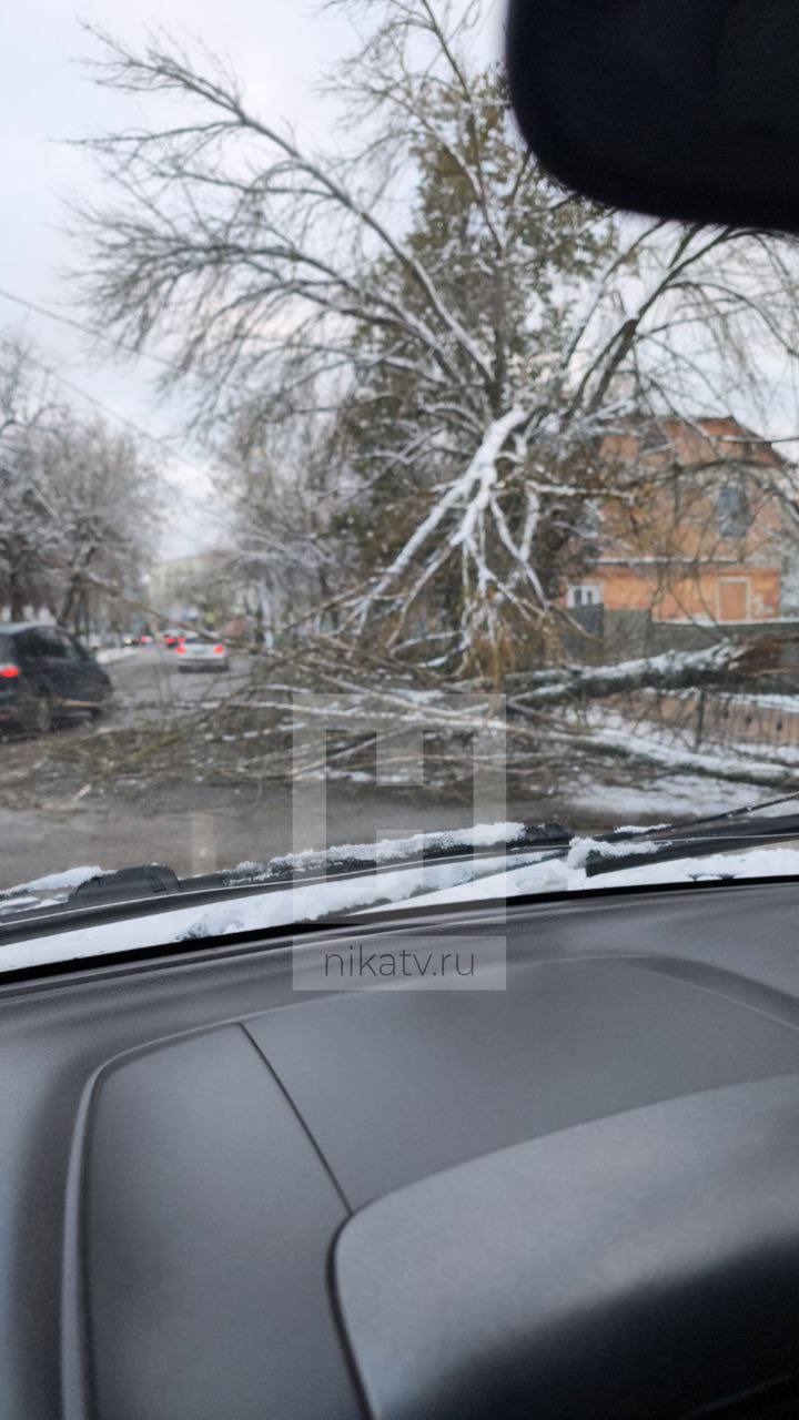 Дерево рухнуло на ул.Плеханова   Возможно, из-за этого на перекрестке улиц Пушкина и Плеханова не работает светофор, сообщил слушатель «Ники ФМ».     Прислать новость     Заказать рекламу