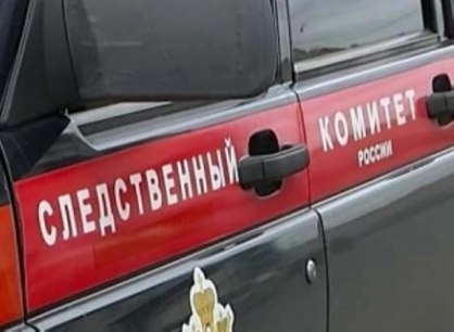 В Ростовской области мужчина задушил знакомую телевизионным кабелем  В Белокалитвинском районе пьяный мужчина задушил 28-летнюю женщину телевизионным кабелем. Об этом сообщили в донском Следкоме.  Инцидент произошел в ночь на 7 июля. По версии следствия, 41-летний местный житель поругался со своей знакомой. В гневе он схватил телевизионный шнур и задушил её. Чтобы скрыть следы преступления, он попытался сделать вид, что женщина покончила с собой, повесившись.  Подозреваемого заключили под стражу и возбудили уголовное дело.  Проводится расследование.