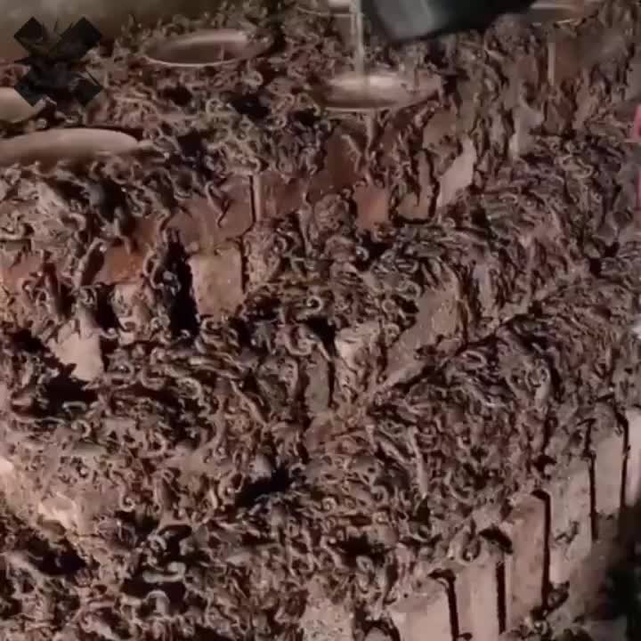 Разведение скорпионов: прибыльный бизнес на яде для медицины и косметологии