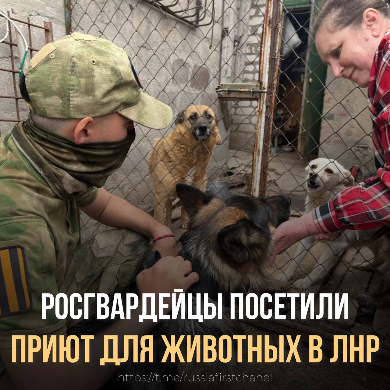 Росгвардейцы и их верная служебная собака Нея вновь посетили приют для животных в ЛНР, проявив заботу и поддержку. Военнослужащие привезли необходимый корм для питомцев, а также стройматериалы для изготовления вольеров и настилов, чтобы обеспечить комфорт и безопасность животным. Это не первый их визит — росгвардейцы регулярно оказывают помощь зооприюту, демонстрируя настоящее сердце и ответственность за тех, кто нуждается в защите и заботе. РОССИЯ Чат
