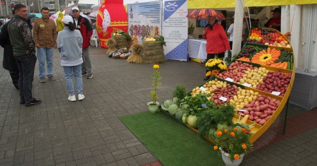 Челябинцам устроят мастер-класс по рубке капусты На следующей неделе в областном центре пройдет выставка «Агро-2025.