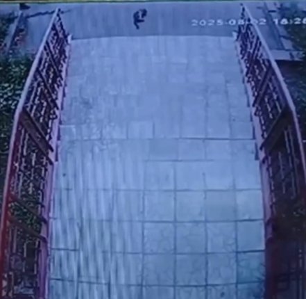 В Ангарске неизвестный сбросил кота с пятого этажа Пострадавшее животное передано волонтёрам и доставлено в ветеринарную клинику    Читать подробнее на сайте...